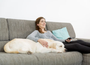 carpet cleaning long island ny