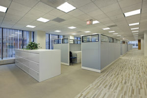 carpet cleaning long island ny