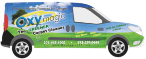 carpet cleaning long island ny